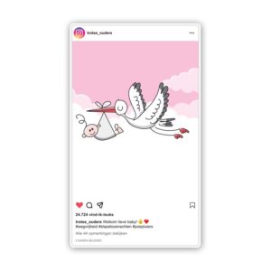 Geboortebord instagram post instapost ooievaar roze