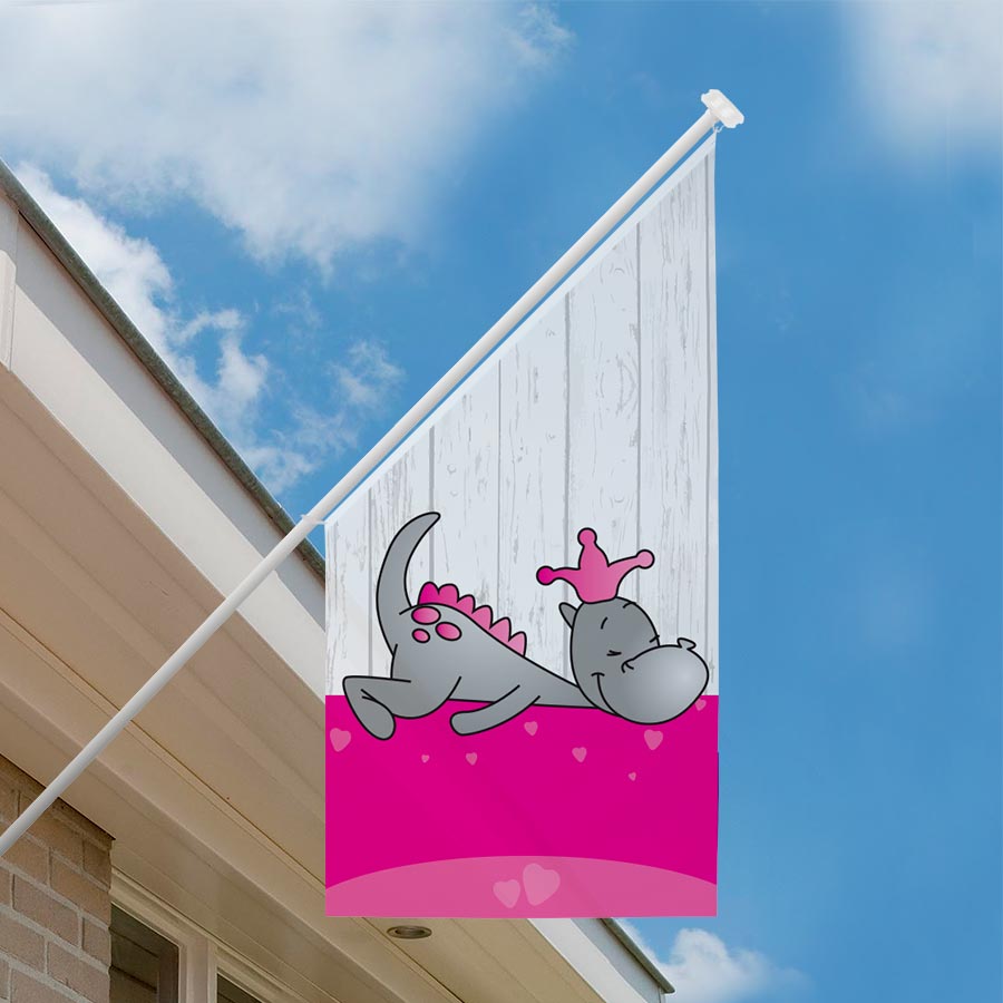 Geboortevlag gevelvlag draakje dirk roze